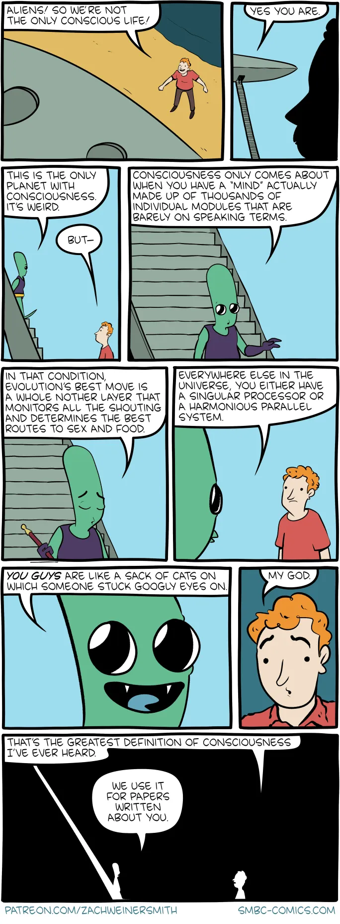 The True Nature of Consciousness