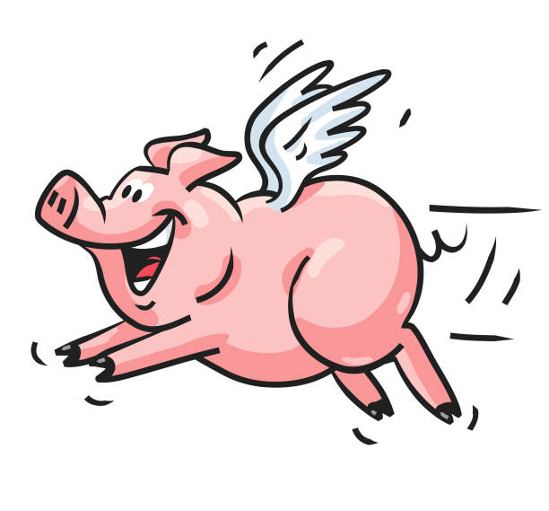 Flying Pig