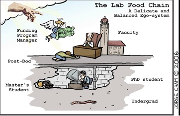 Grad students and professors food chain